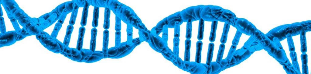 ADN: una cadena entrelazada