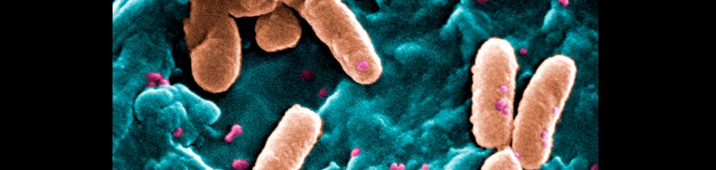 Células y microorganismos: la bioquímica humana