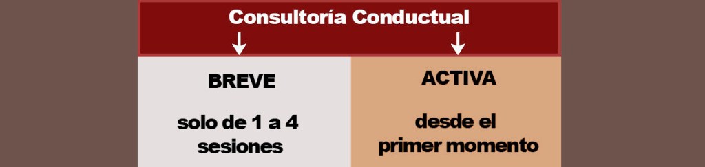 La consultoría conductual propone un plan con pocas sesiones y trabajo activo