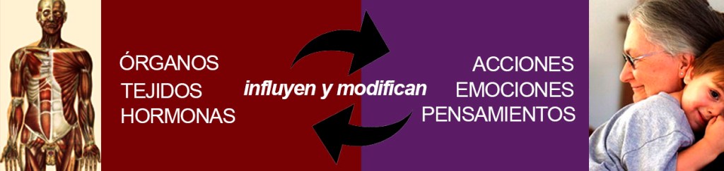 Psicología-organismo-acciones-emociones-pensamientos