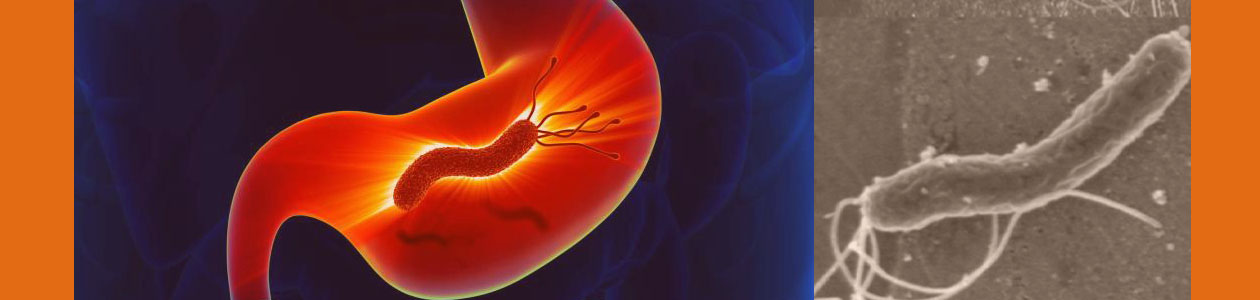 helicobacter pylori